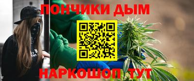 гидра Гатчина