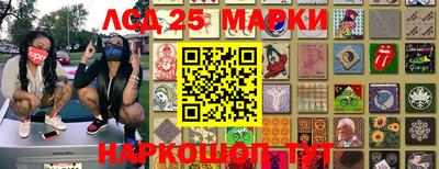 гидра Гатчина