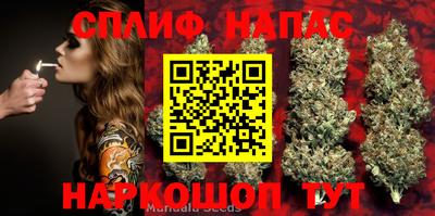 гидра Гатчина