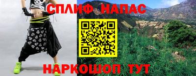 спайс Гагарин